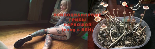 трава Богданович