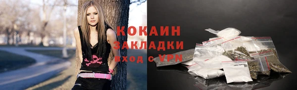 mix Богородицк