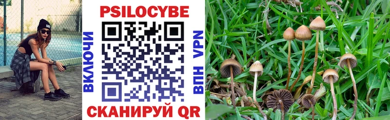 Псилоцибиновые грибы Cubensis Верхний Уфалей
