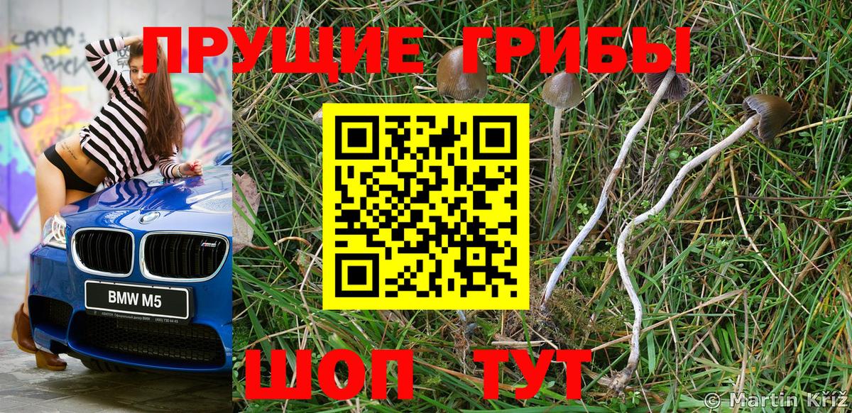 Галлюциногенные грибы прущие грибы  Вход с VPN  Верхний Уфалей 