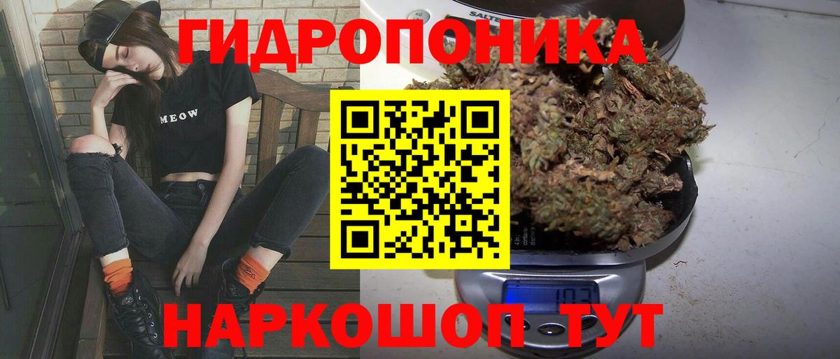 Бошки Шишки планчик Верхний Уфалей